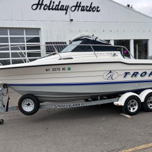 1993 - Bayliner 2002 Trophy Walkaround