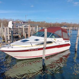 1990 - Sea Ray 220 Sundancer